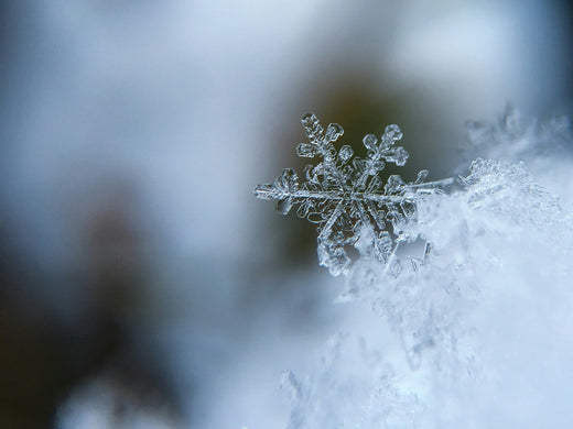 Pourquoi faut-il renforcer son immunité avant l’hiver ? ❄️