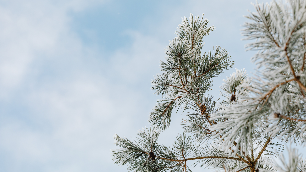 Renforcer son immunité en hiver : le guide simple et efficace