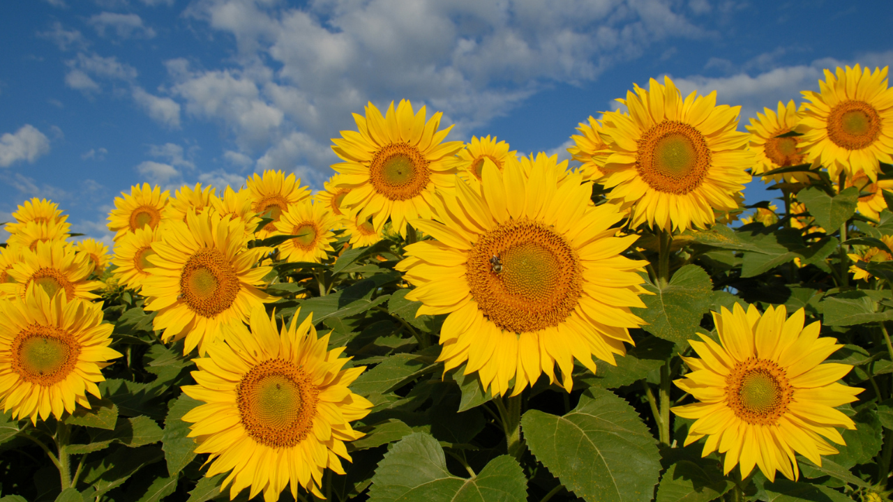 🎒 Comment garder son énergie après l’été