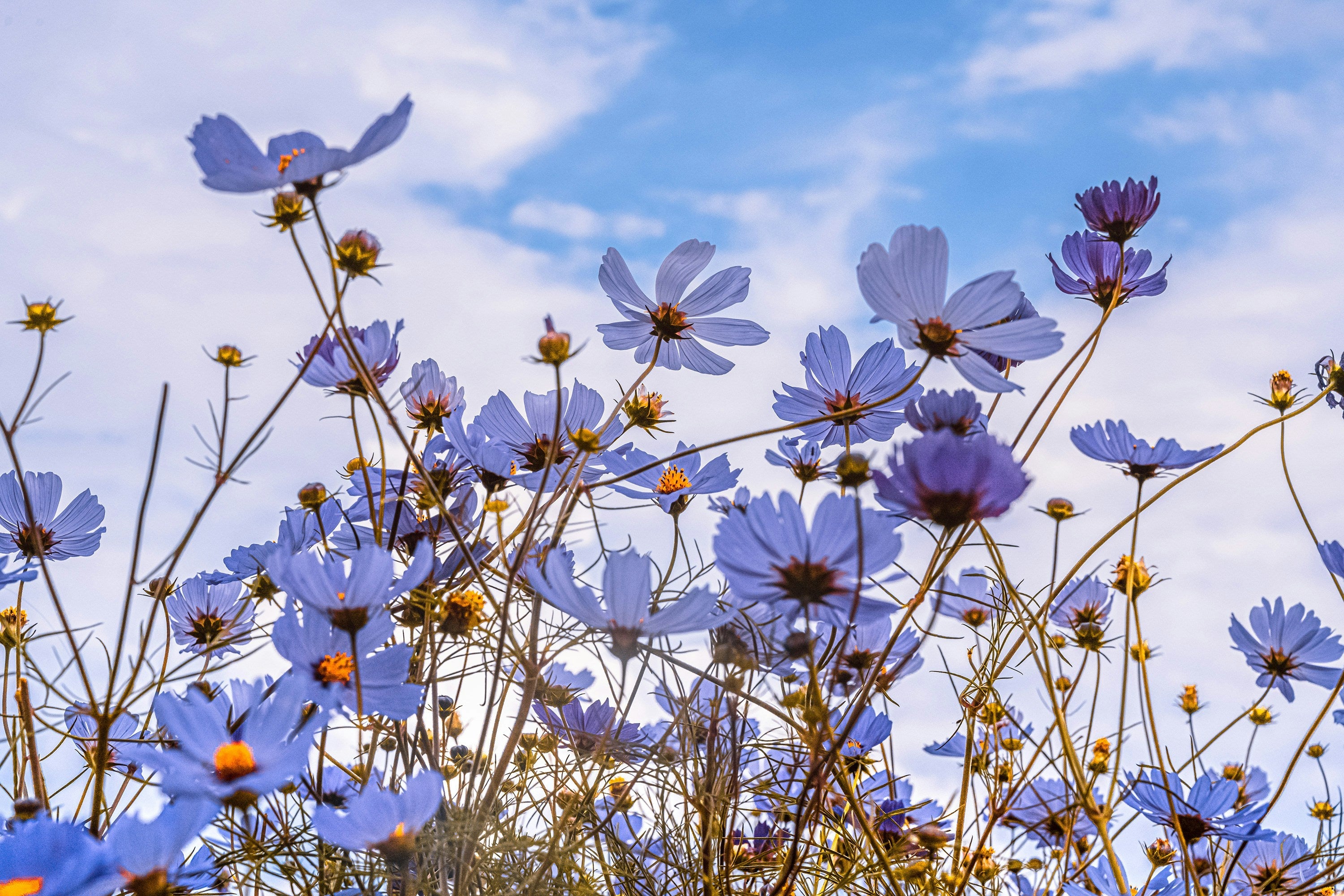 Immun’Âge, votre allié pour un printemps en pleine forme ☘️